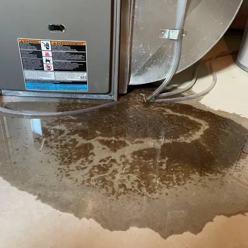 Appliance Leak Cleanup in Buffalo, NY